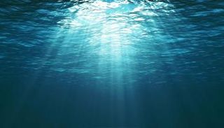 ارتفاع حرارة المحيطات يهدد حيوانات الأعماق بالموت