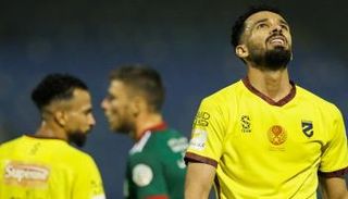 الدوري السعودي للمحترفين