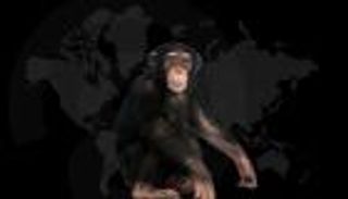 خريطة انتشار جدري القرود حول العالم (إنفوجراف)