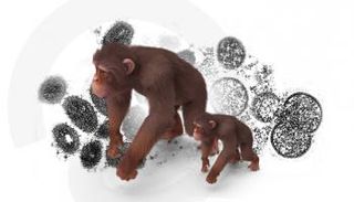 جدري القرود