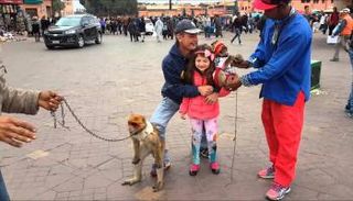 سائح مع قردة بساحة جامع لفنا بمراكش - أرشيفية