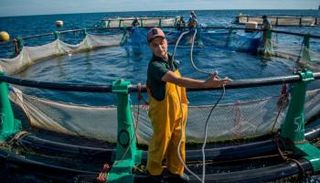 صياد مغربي - أرشيفية