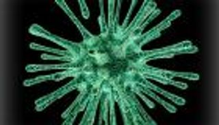 جدري القرود.. 6 رسائل مطمئنة رغم تزايد الإصابات