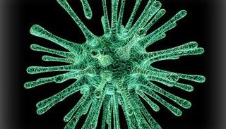 فيروس جدري القرود