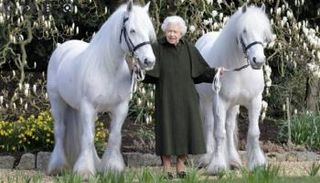 الملكة إليزابيث