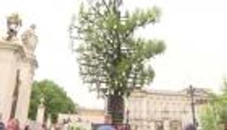 "شجرة الأشجار"..  مزارعو بريطانيا يكرمون الملكة أمام باكينجهام