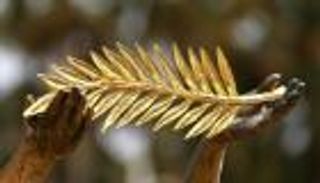 السعفة الذهبية لمهرجان كان 2022.. الاحتمالات مفتوحة