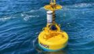 استثمار في مستقبل البحار.. عوامات آلية للحفاظ على سلامة الحيتان