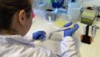 سبب جديد للإصابة بالسكري.. فتش عن ملوثات البيئة