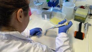 الباحثون أثناء العمل على اكتشاف العلاقة بين الملوثات والسكري