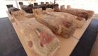 مصر تكتشف خبيئة كبرى في جبانة الحيوانات المقدسة (صور)