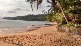 أجمل 6 من شواطئ الجزائر العاصمة التي تستحق الزيارة