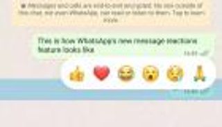 ميزة من واتساب لأجهزة أبل.. تفاعل "إيموجي" أفضل