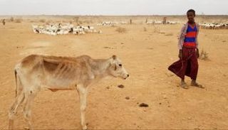 الجفاف يهدد الصومال