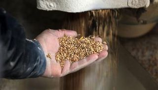 5 دول عربية الأكثر تضررا من أزمات الغذاء والطاقة