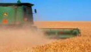 قمح البحر الأسود "الحبيس".. متى يخرج للأسواق الجائعة؟