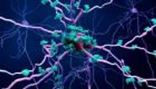 عن طريق إعادة الاستخدام.. دواء للسرطان يعالج التهاب الأعصاب