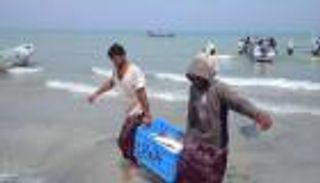 البنك الدولي يمول مشروعا سمكيا في اليمن بـ45 مليون دولار