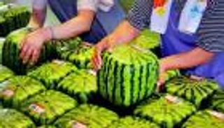 حرب أوكرانيا "بريئة" منها.. أغلى 9 فواكه حول العالم