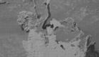 مسامير المريخ.. شبح "باريدوليا" يظهر مجددا