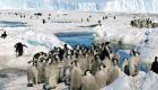 تهديد خطير للقطب الجنوبي.. اكتشاف مفاجئ يقلق العلماء