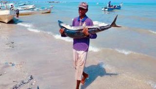 أزمة ناقلة صافر  النفطية تهدد صيادين اليمن