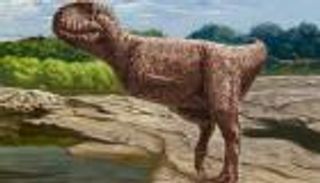 ما وراء اكتشاف الديناصور هابيل بـ"أرض المعارك الضارية" في مصر (حوار)