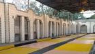 سوق السمك في المنيب مغلق مؤقتا.. قصة مصرية عمرها 70 عاما (فيديو)