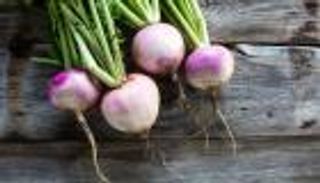 فوائد الشلغم.. صحة أفضل ووقاية من الأمراض