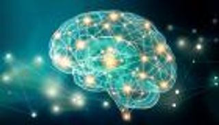 خريطة دماغية جديدة ترسم "شبكة الإقلاع عن الإدمان"