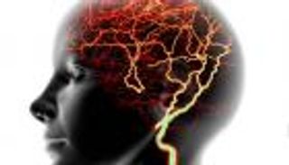 دراسة: حرارة أدمغة النساء قد تصل إلى 40 درجة مئوية