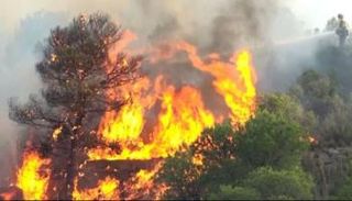 حرائق الغابات في إقليم كتالونيا الإسباني