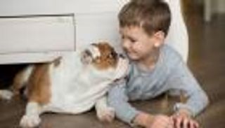 صداقة الإنسان والكلب.. 6 علامات تكشف "الإدراك المشترك"