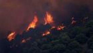 حرائق الغابات تستعر وسط موجة حر قياسية في إسبانيا (صور)