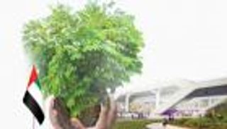 الإمارات.. رؤية استراتيجية لـCOP28 وخطط تُلهم العالم للمدن المستدامة