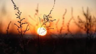 الشمس تشرق في يوم الانقلاب الصيفي من أقصى الشمال الشرقي- أرشيفية