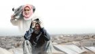 يوم اللاجئ العالمي 2022.. الأمان حق من حقوق الإنسان (إنفوجراف)