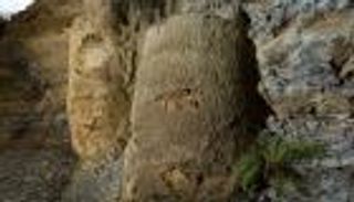 عمرها 290 مليون سنة.. غابة متحجرة تبهر العلماء بالبرازيل (صور)