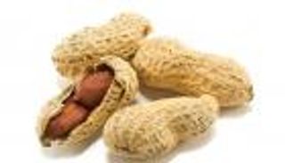 مرضى حساسية الفول السوداني.. نصائح لتجنب المخاطر