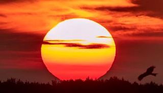 الانقلاب الصيفي في نصف الكرة الشمالي الثلاثاء 