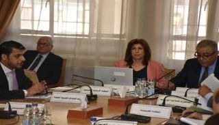 مدير إدارة التنمية المستدامة والتعاون الدولي بالجامعة العربية