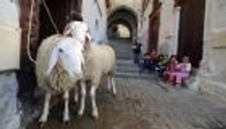 متى عيد الأضحى 2022؟.. الإجازة تبدأ في هذا اليوم