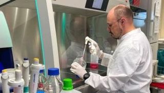 معدل الطفرات قد يشير إلى حالة من التطور المتسارع