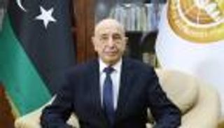 عقيلة صالح يطلع على نتائج المسار الدستوري.. ويشكر السيسي