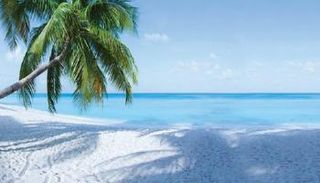 شواطئ جزر كايمان.. أفضل 5 شواطئ "ساحرة" في البحر الكاريبي