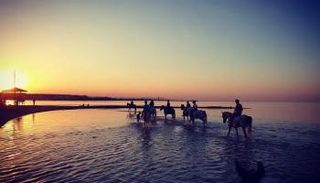 ركوب الخيل على الشاطئ في مصر