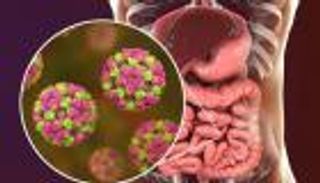 اكتشاف آلية انتقال جديدة لفيروسات المعدة.. لن تصدق مصدرها