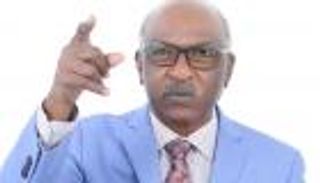 سياسي سوداني لـ"العين الإخبارية": منهج التحشيد يقود للخراب ونحتاج "مارشال عربي"