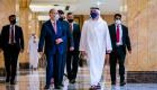 الإمارات وقبرص.. ملفات استراتيجية على "عشاء عمل"