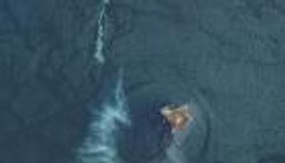 18 قتيلا أوكرانيا.. لدغة روسية قرب جزيرة الأفعى رغم "حسن النية"؟